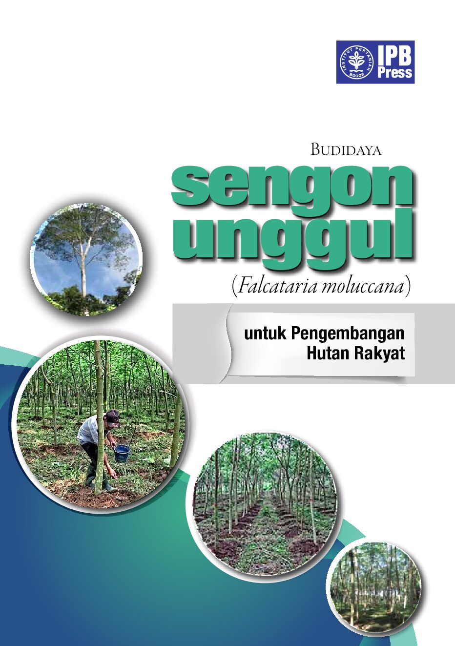 Cover Budidaya Sengon Unggul Untuk Hutan Tanaman Rakyat Lilianan Baskorowati 2014